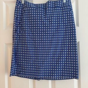 The Limited Blue and White Checkered Mini Skirt
